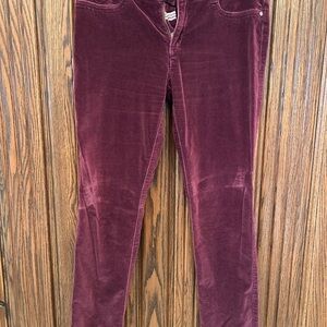 Pilcro Anthropologie velvet Jeans Sz 28
